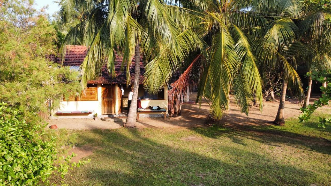 Kite House Cafe Bed and Breakfast Kalpitiya Eksteriør billede